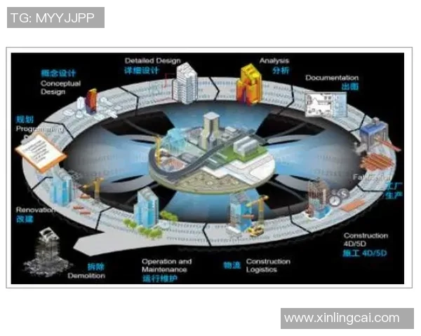 南京排球队实力分析与未来发展潜力的深入探讨