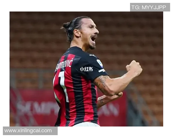 卡伊布足球明星的传奇之路与辉煌成就探秘