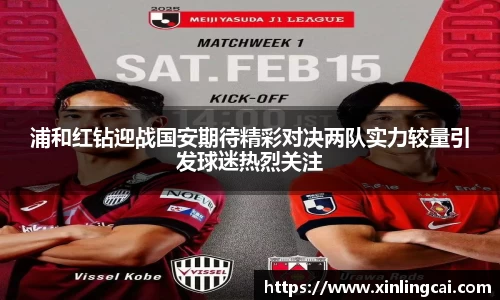 必一bsports