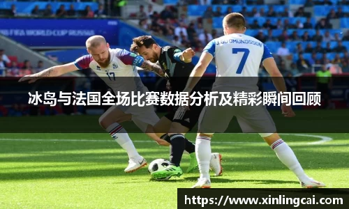 冰岛与法国全场比赛数据分析及精彩瞬间回顾